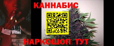 дживик Можга